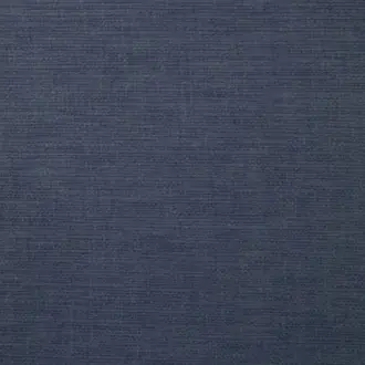Lunar Indigo