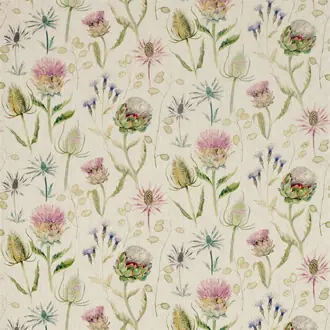 Thistle Garden 226423