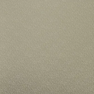 Namibia Sand