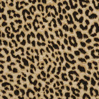 Feline 3248-05
