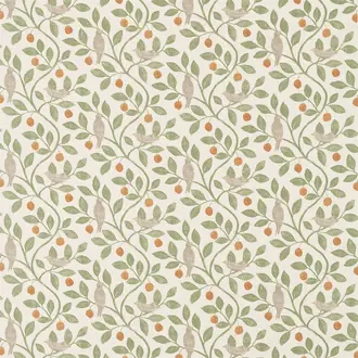 Damson Tree 226362