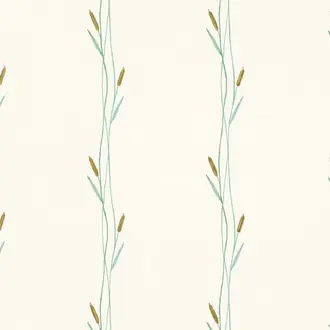 Bulrush V3316-01