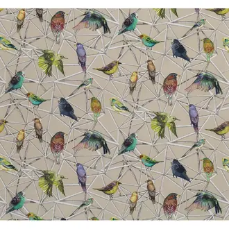 Aviary F7011-02