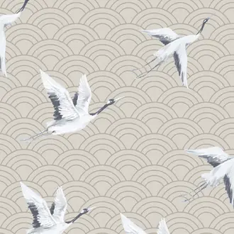 Japanese Cranes DYW0011