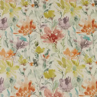 Water Meadow Clementine