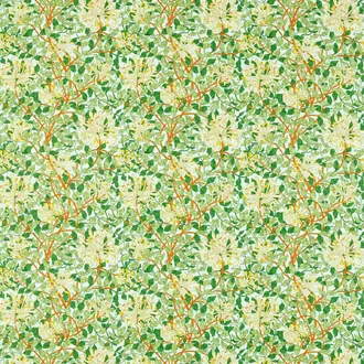 Honeysuckle 226985