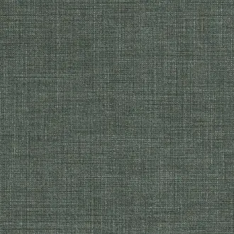 Linum 07 Graphite