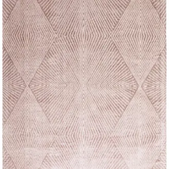 Blaize Blush Rug