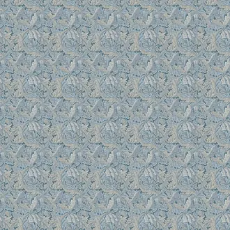 Acanthus F1681/01