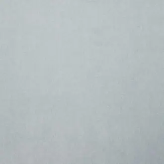Oakland Ice