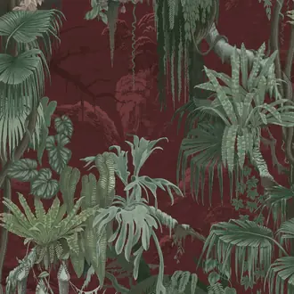 Madagascar R17493