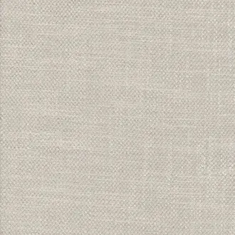 Salisbury Ewe AM2249-03