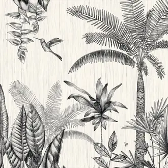 Ipanema 7429 01 80