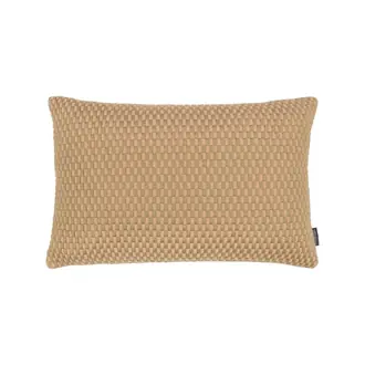Tesseract Olive