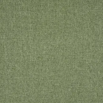 Tundra Meadow