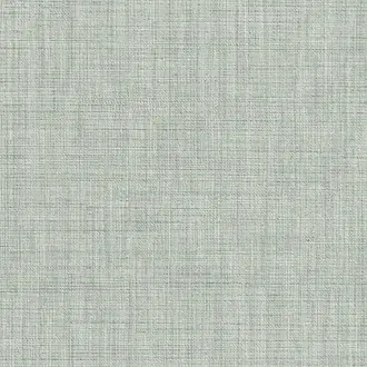Linum 09 Ash
