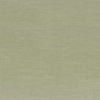 Shinok 73811009