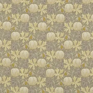 Pumpkins BP10621-4