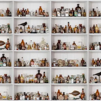 Cabinet Of Curios R14181