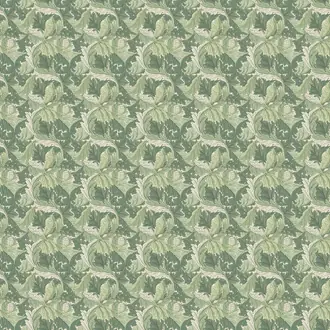 Acanthus F1681/02