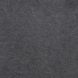 Mojave FDG2167-09