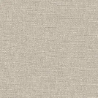 Loire Stucco
