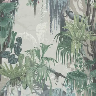 Madagascar R17492