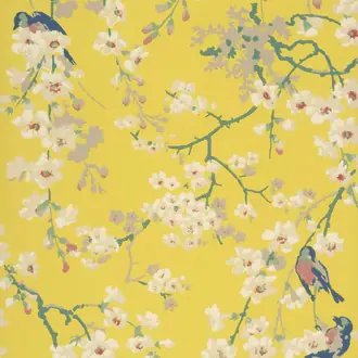 Massingberd Blossom Yellow