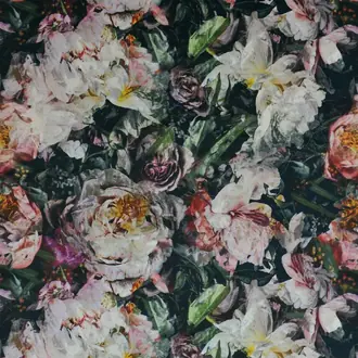 Fleur De Nuit FDG2930-01