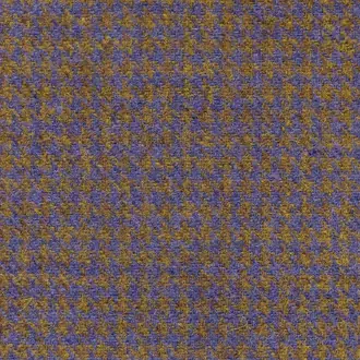 Dogtooth Winter Wheat