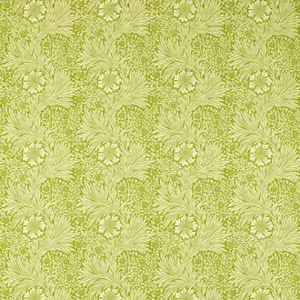 Marigold 226982