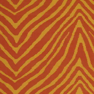 Illusion 1021-11