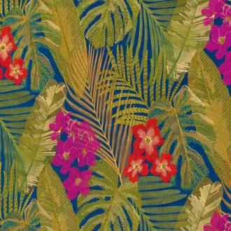 Moorea JT01 3798 002