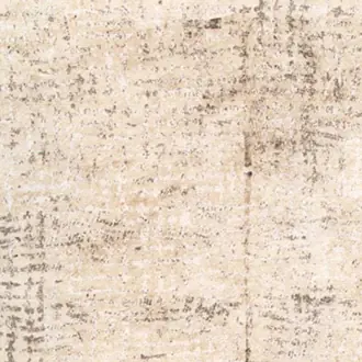Allegorie RM 256 02