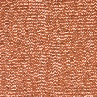 Shelley Terracotta