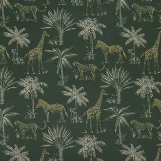Safari Fern