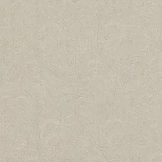 Cadence Cement M507-01