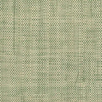 African Raffia Two Tone Green 3581