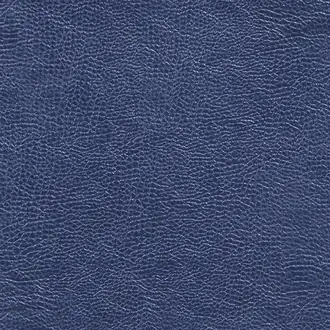 Mojave FDG2167-11