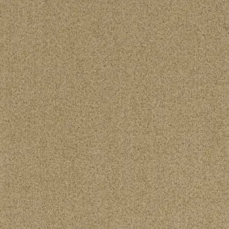 Elyssa 12900685
