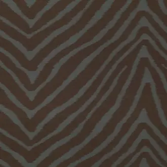 Illusion 1021-13
