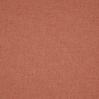 Tundra Redwood