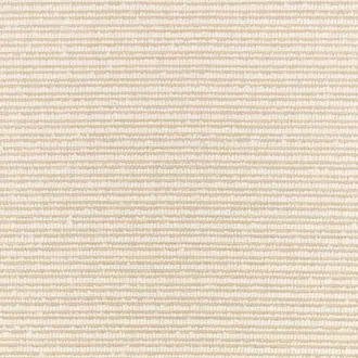 Torus Bone