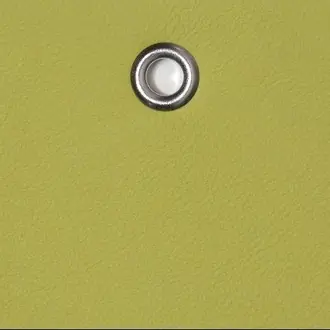 Annecy Acid Green ANN278