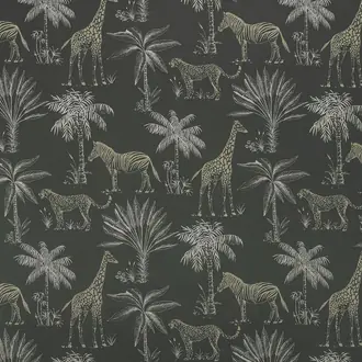 Safari Slate