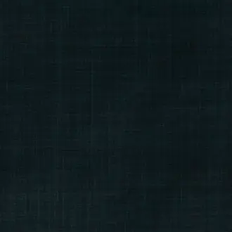 Dune Ebony 7902-19