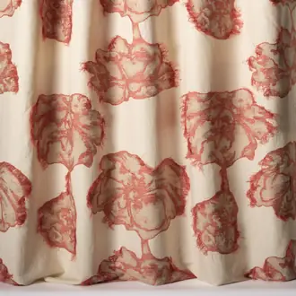 Peonia 10857-56