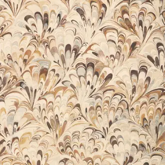 Ellis Print 2025129-1611