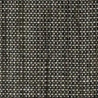 Liz J2995-001