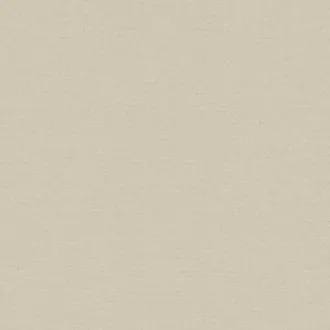 Plains 295541